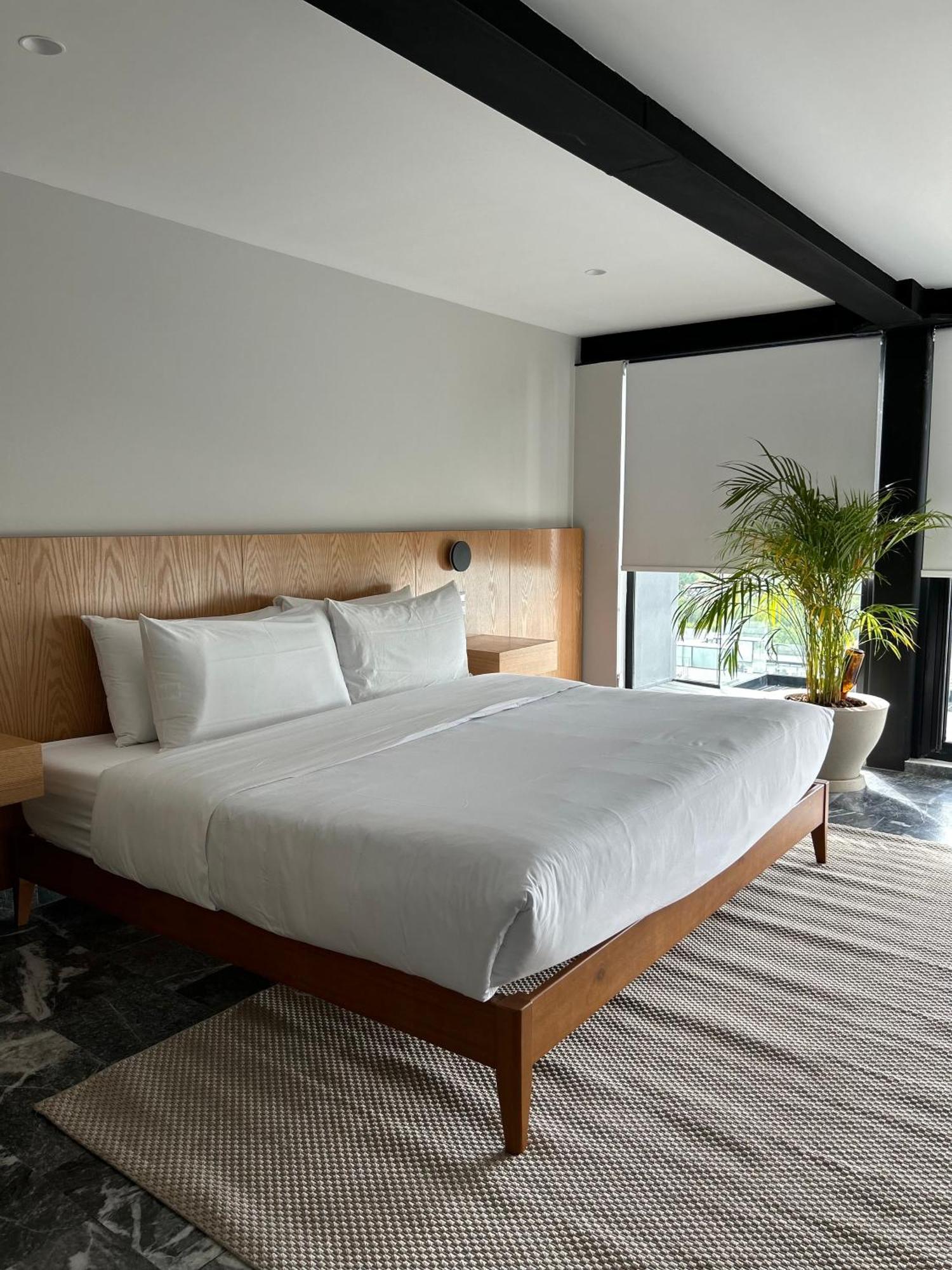 Arquimedes 138 By Wynwood House Aparthotel Mexico City Ngoại thất bức ảnh